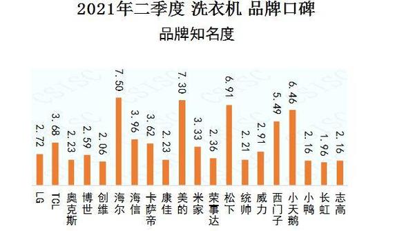 揭示洗衣片市场领导者：十大品牌巅峰对决！